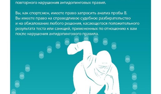 811556504366fa9d3ec312ca0f593256